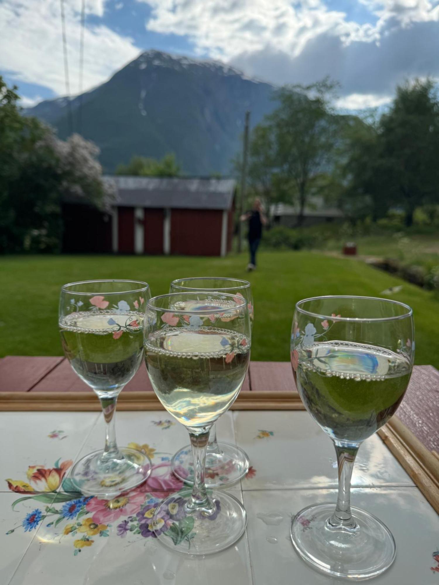 Aobrio Holidayhouse, Authentic Norwegian Farmhouse Close To Flam Lærdalsøyri Екстериор снимка