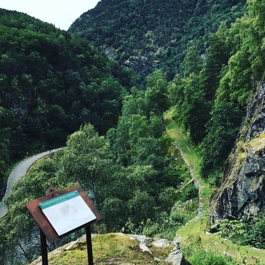 Aobrio Holidayhouse, Authentic Norwegian Farmhouse Close To Flam Lærdalsøyri Екстериор снимка