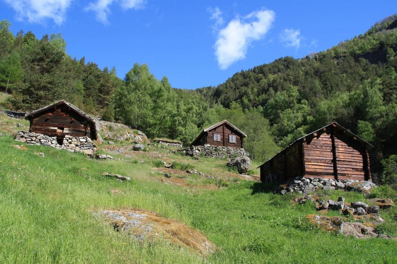 Aobrio Holidayhouse, Authentic Norwegian Farmhouse Close To Flam Lærdalsøyri Екстериор снимка