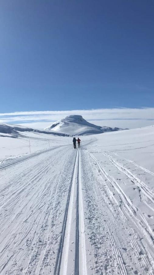 Aobrio Holidayhouse, Authentic Norwegian Farmhouse Close To Flam Lærdalsøyri Екстериор снимка