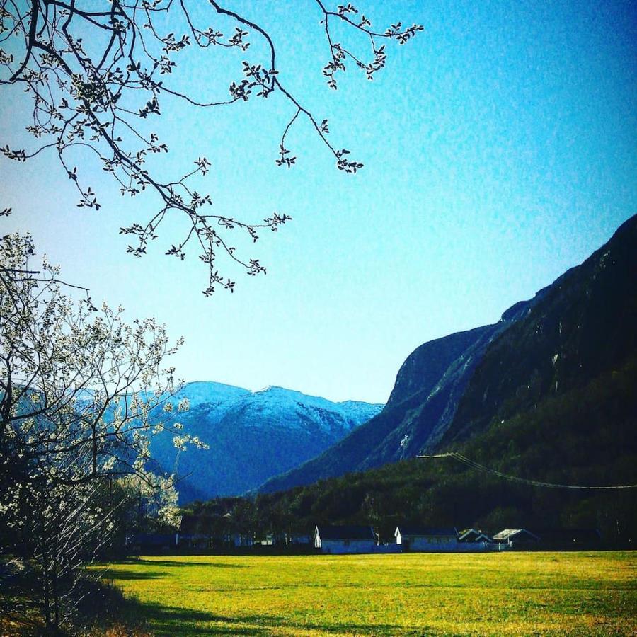 Aobrio Holidayhouse, Authentic Norwegian Farmhouse Close To Flam Lærdalsøyri Екстериор снимка